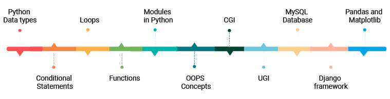 Learning Path