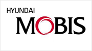 Hyudai Mobis